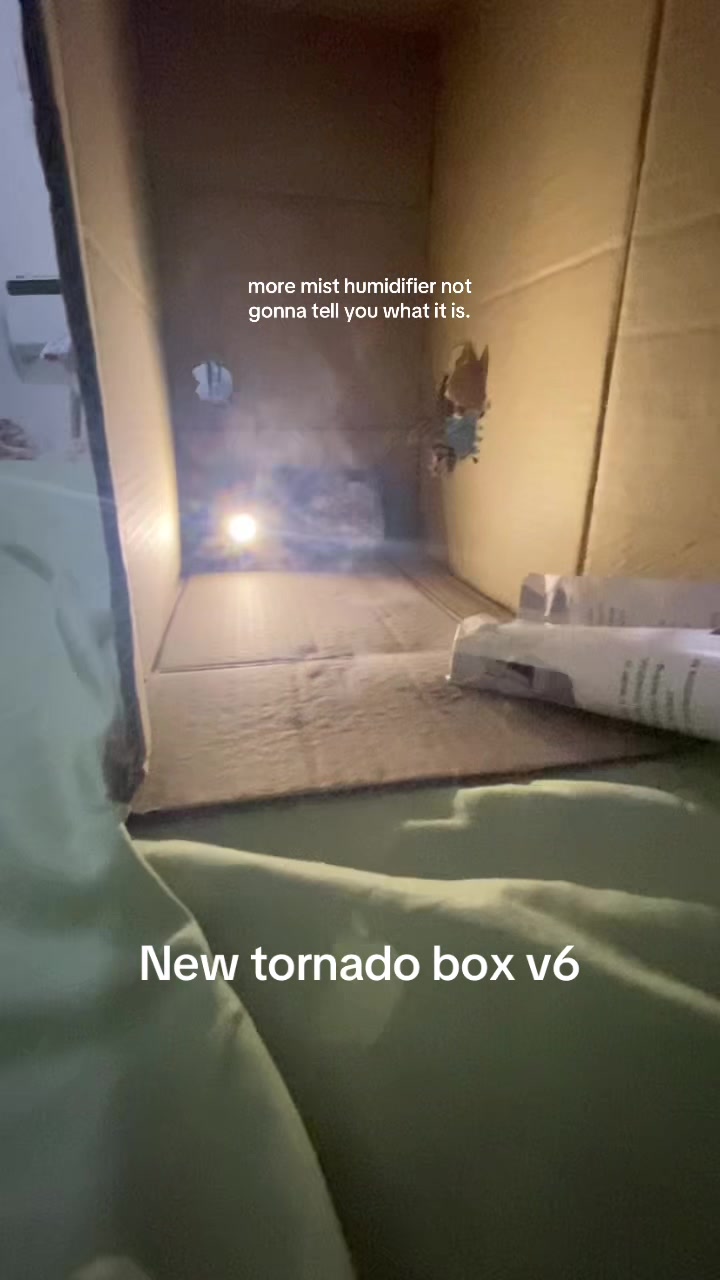 @Mike_Stormkiddo🇺🇸🇺🇲👑
