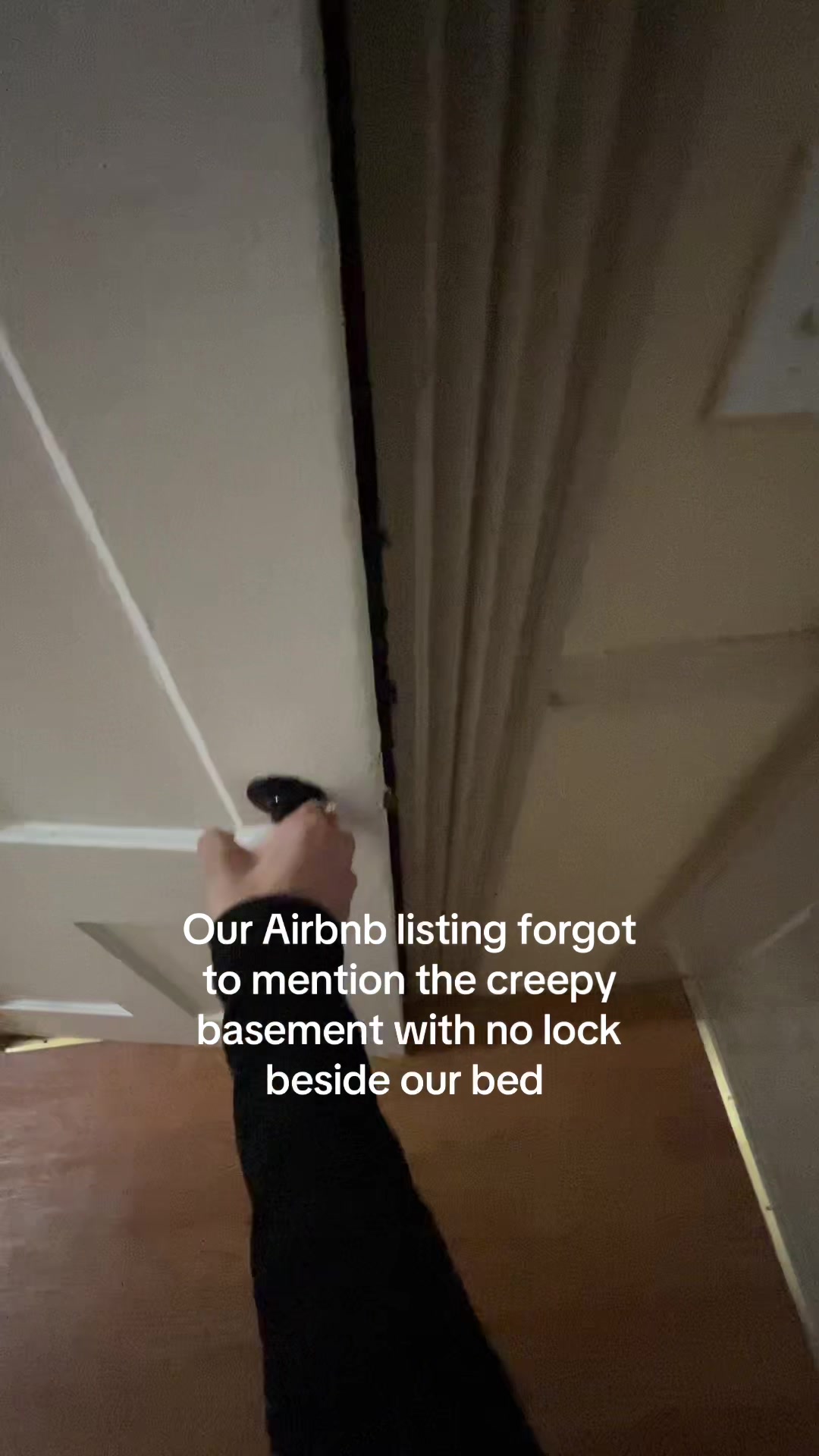 @bird king