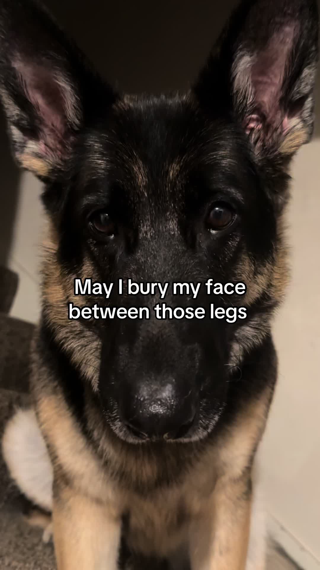@Bhris