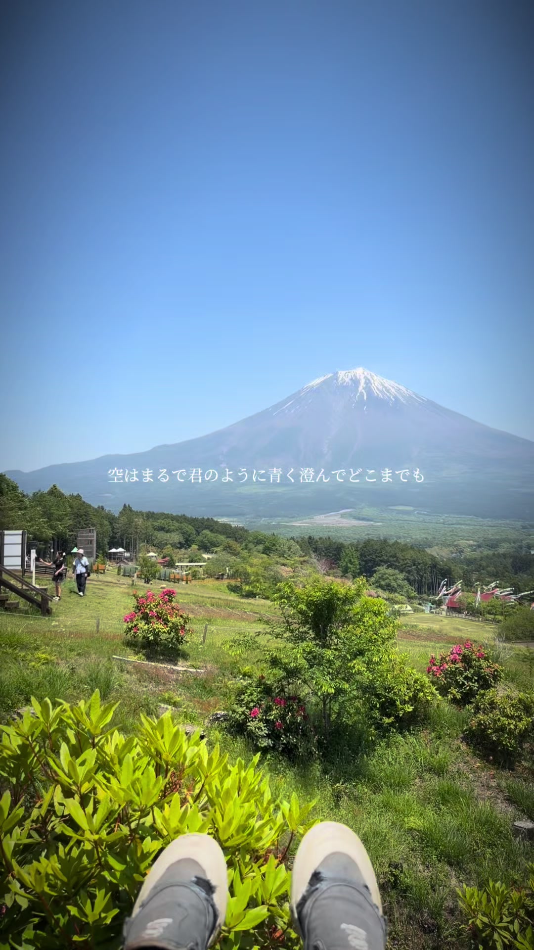 @枠荒らしの嫌われリスナー