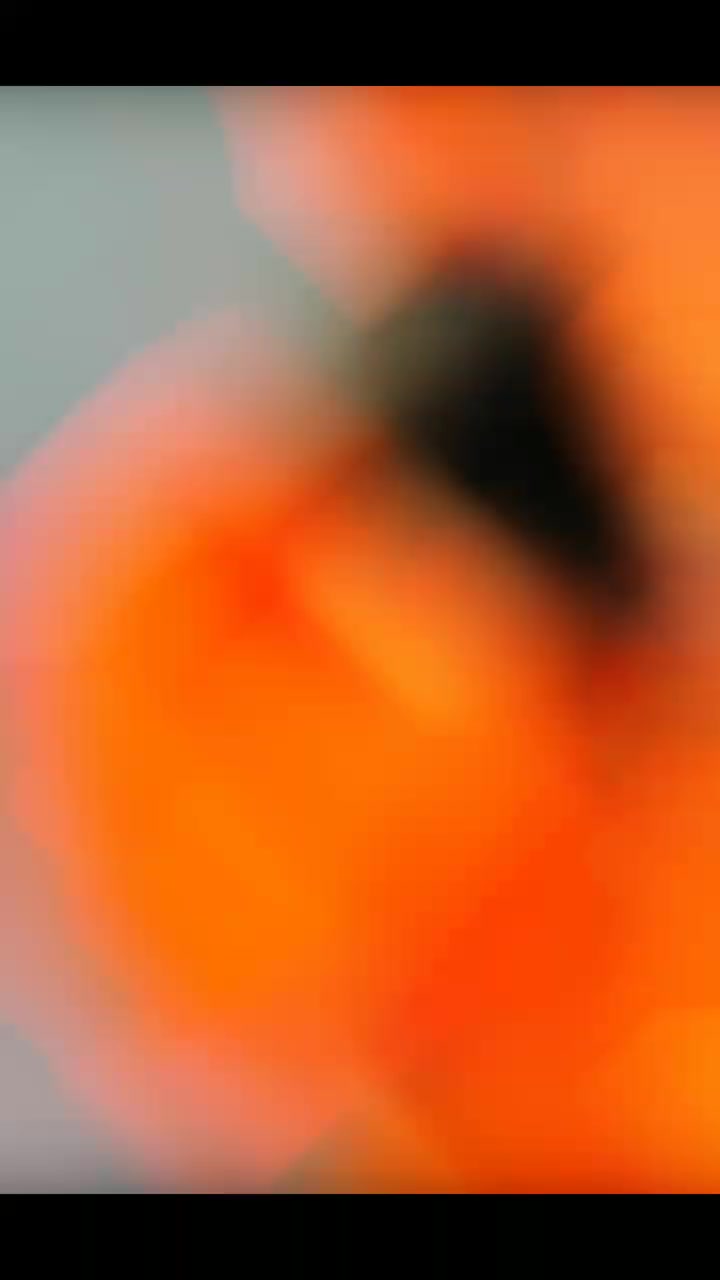 @*꧁༒☬ شــیــرنــی گــجــری ☬༒꧂*