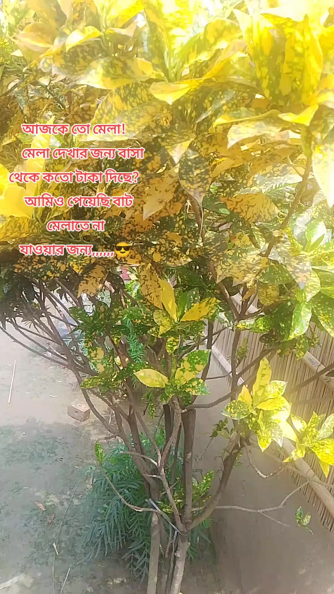@Sumaya islam