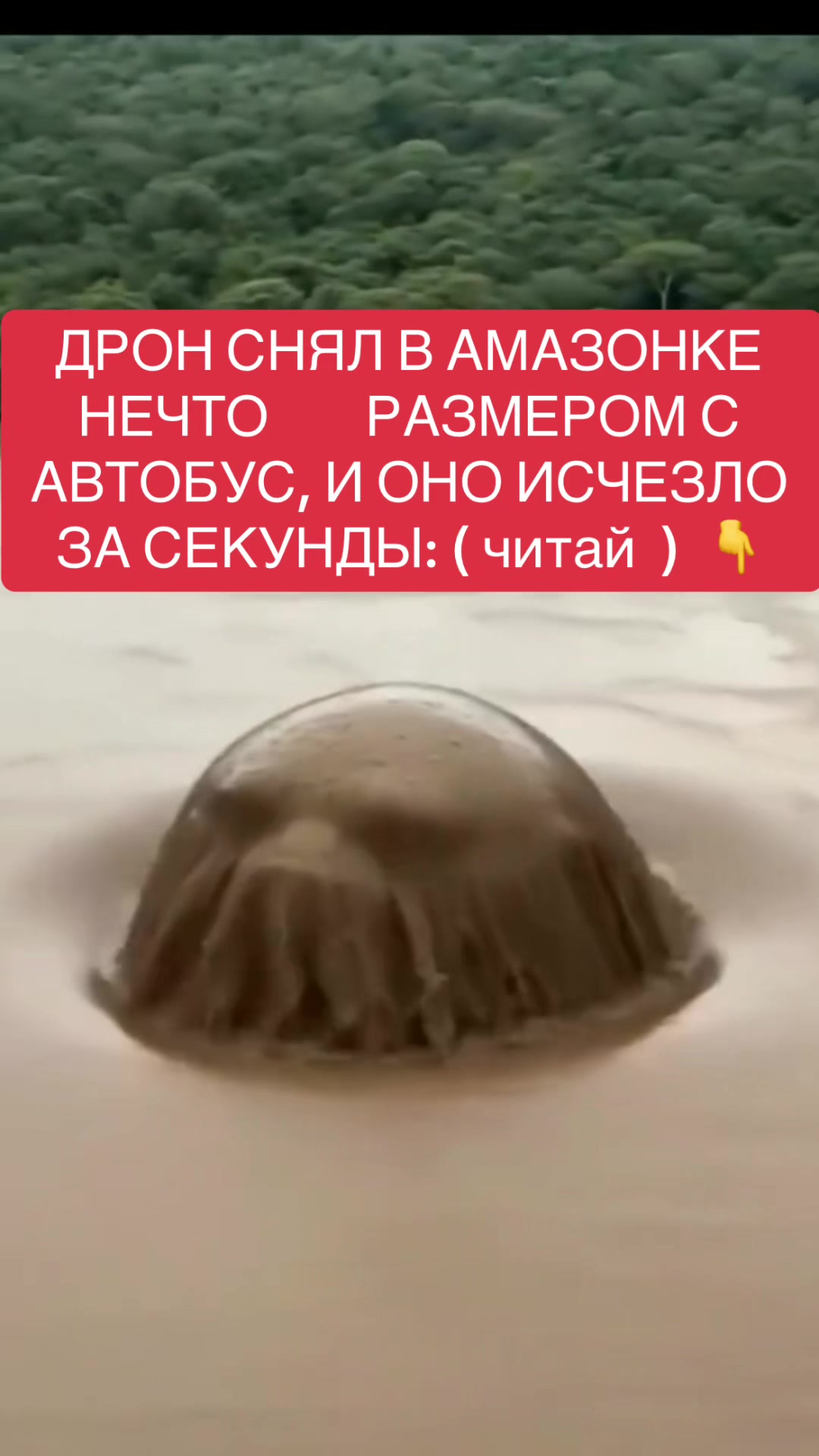 @shoblinskis