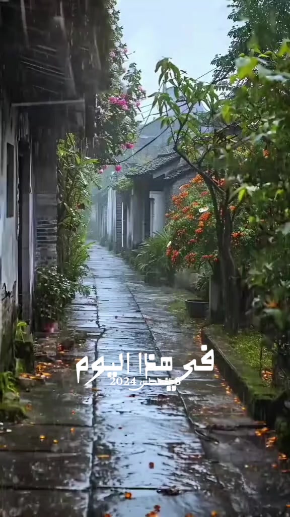 @majda majda