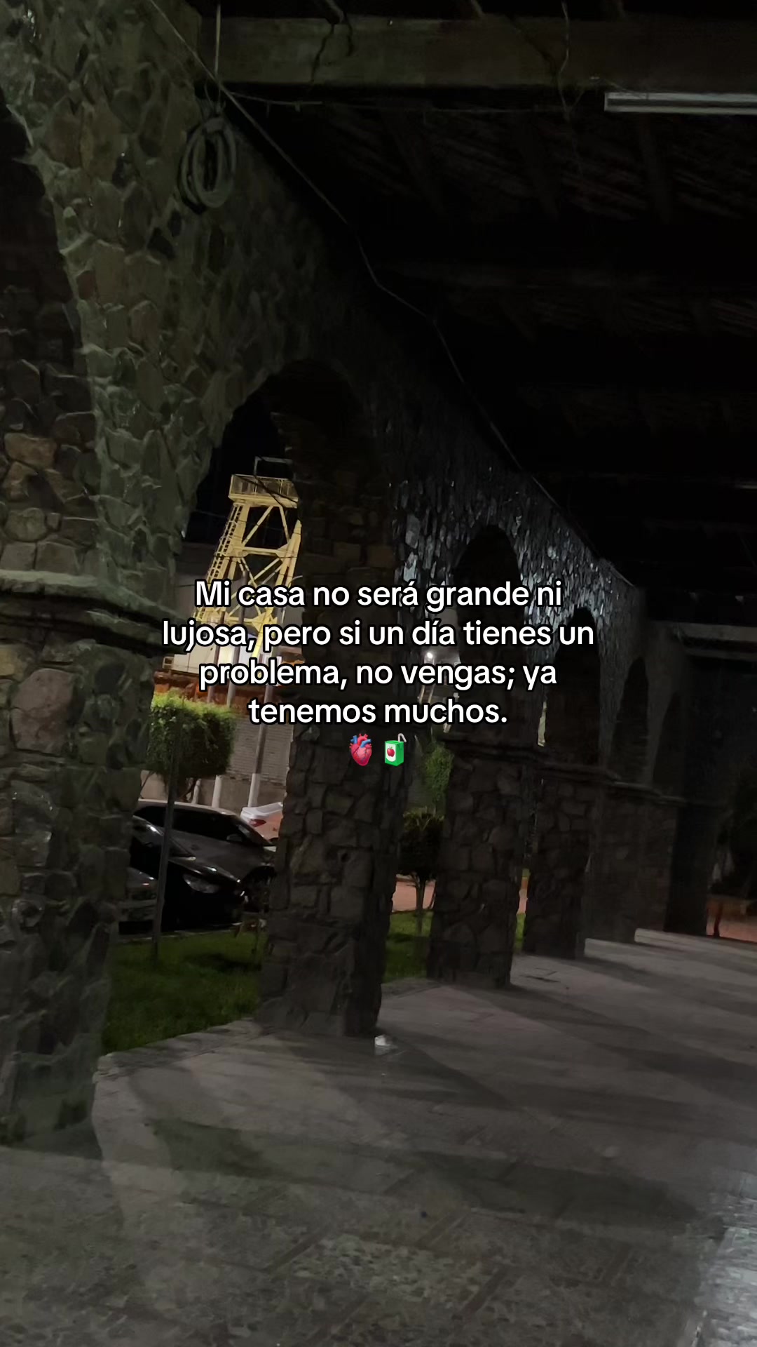 @Gatocix 🐱