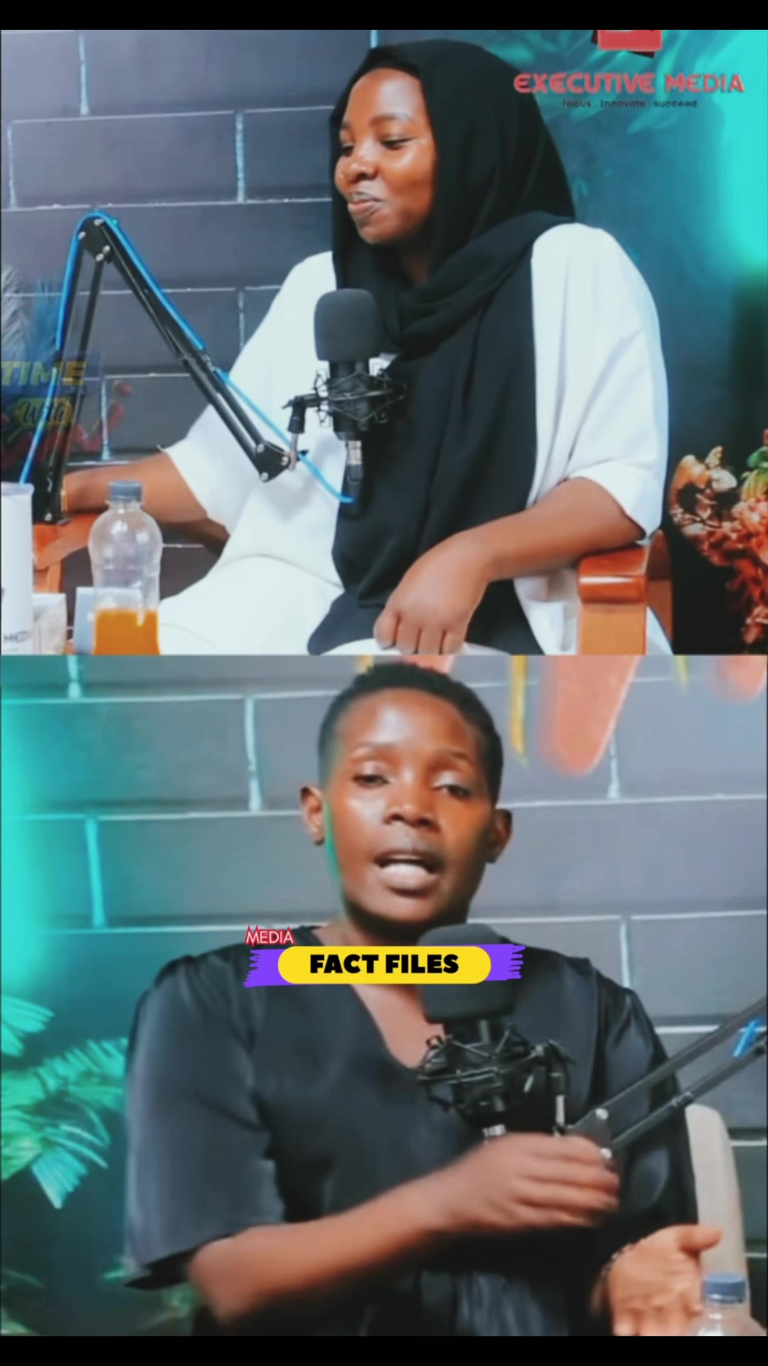 @FactFilesMedia