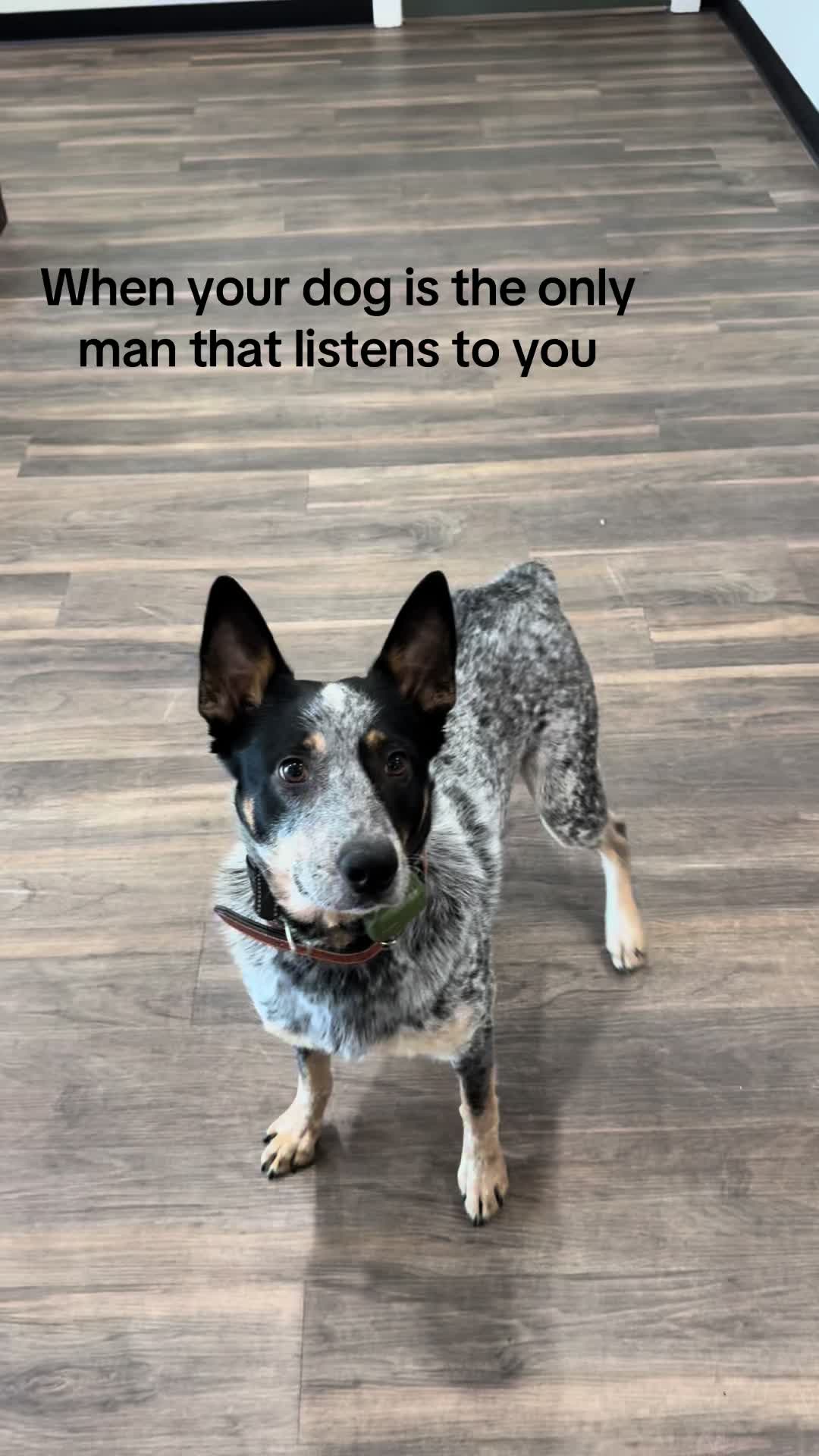 @Kayla