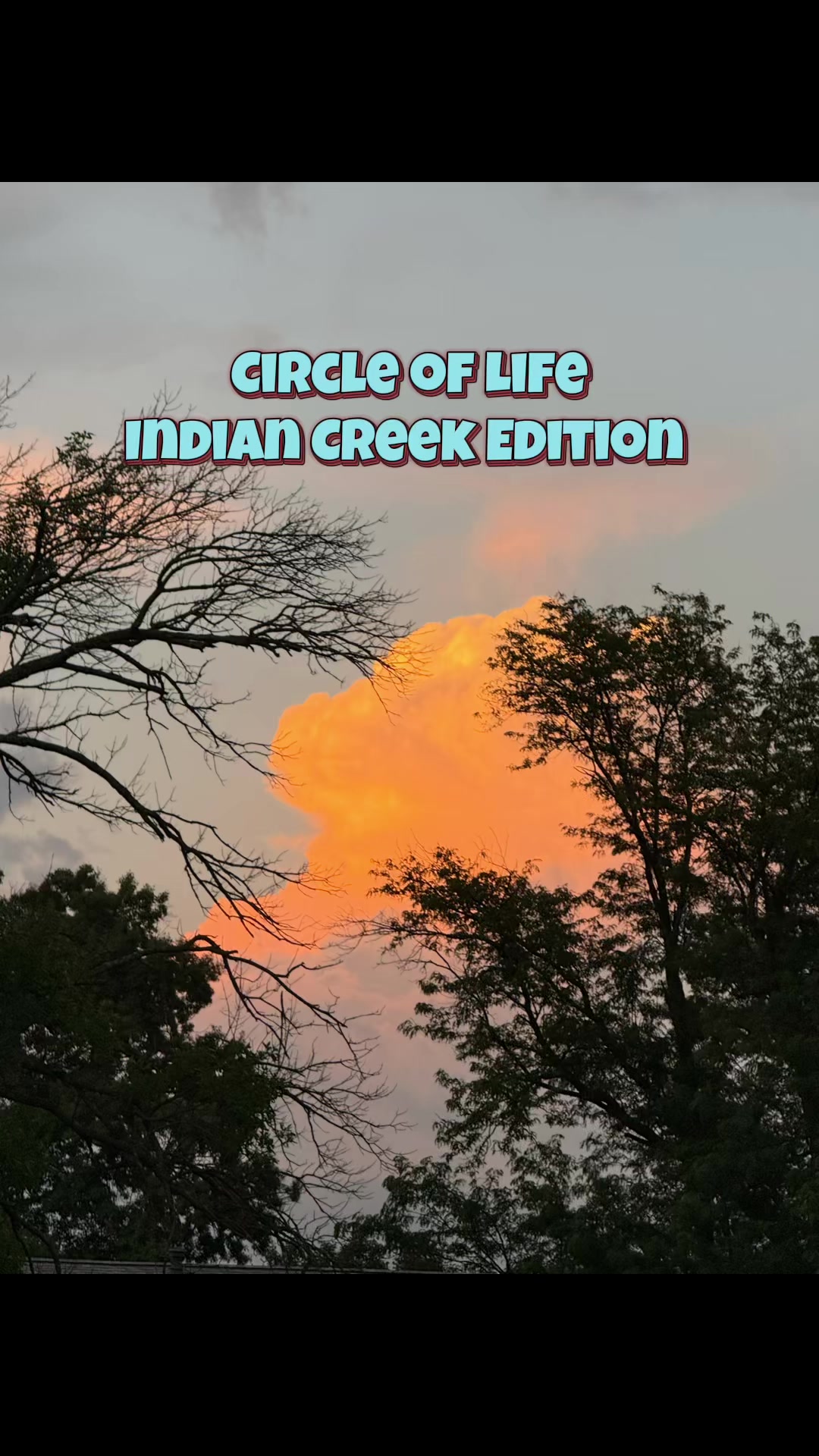 @Indian Creek Country Club (IA)