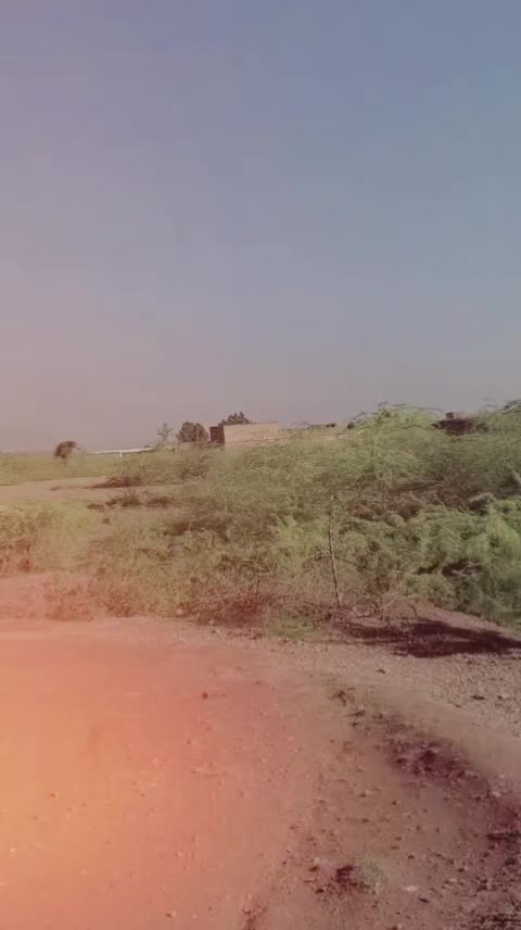 @Mᴷ❂͜͡🇦ᶠᴿᴵᴰᴵ 302🤟