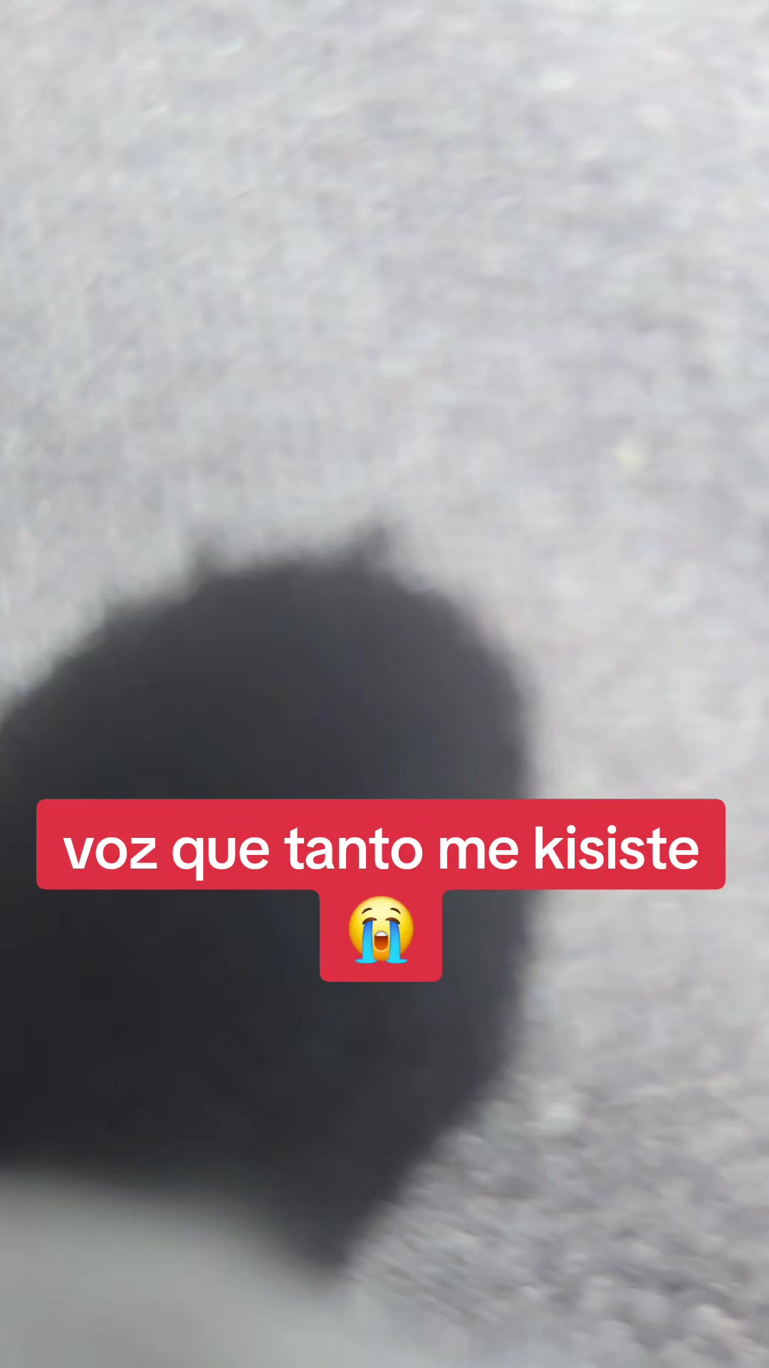 @mauro😇😇