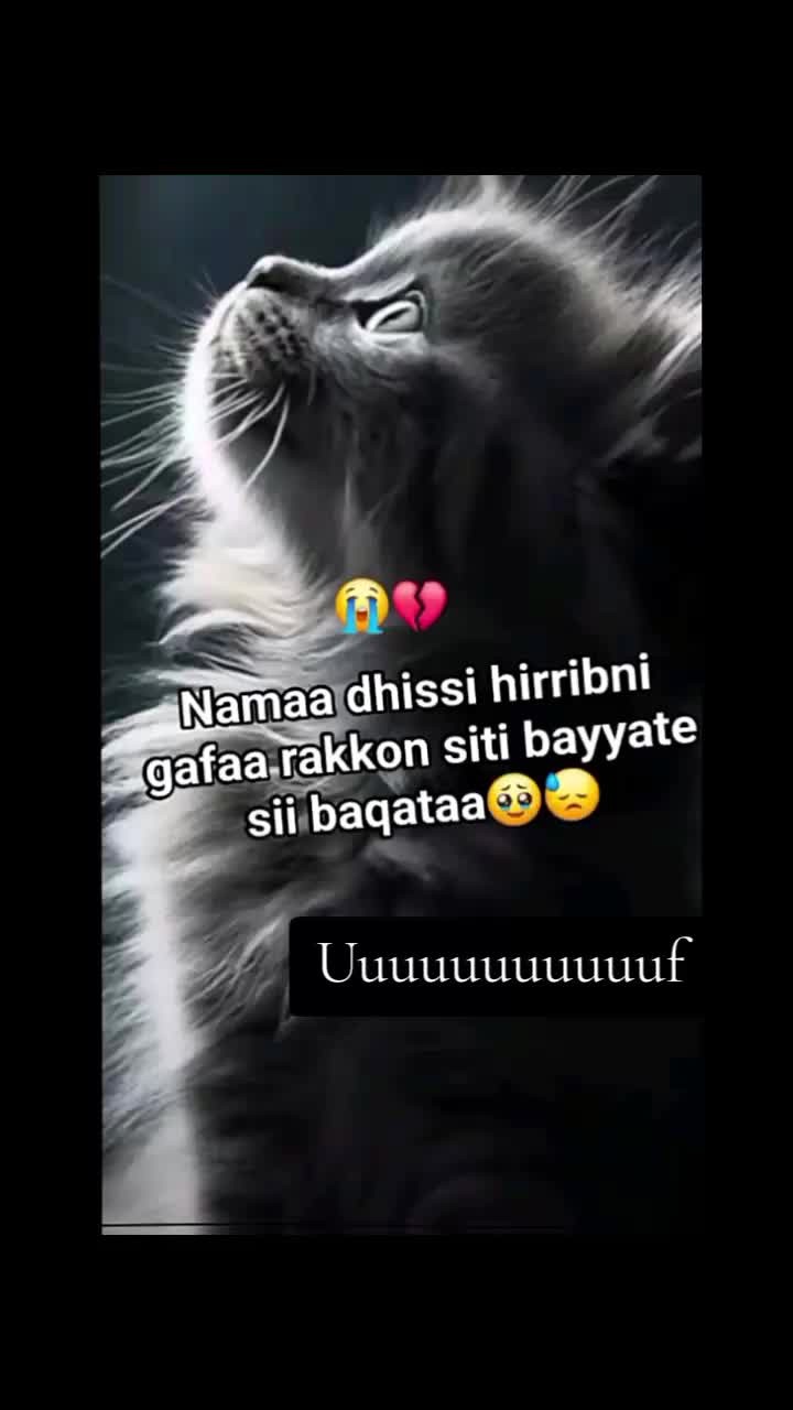 @Dammaa ๐๐