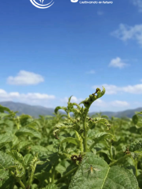 @Agrobio🤠✨️🌱