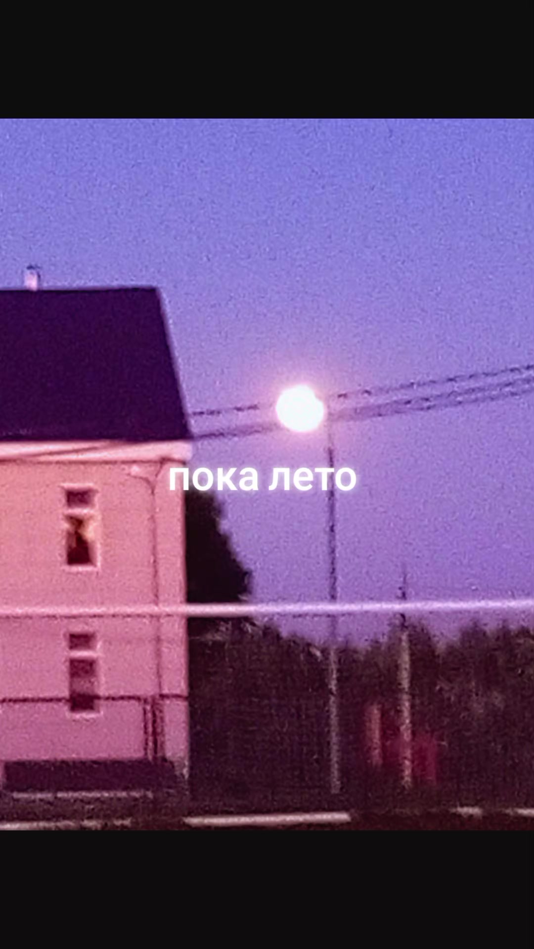 @Kizov