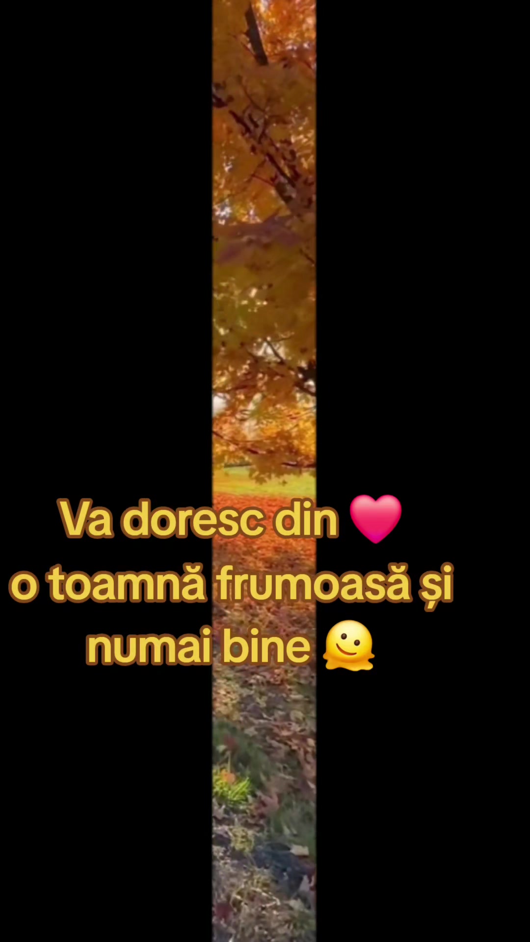 @Silvia