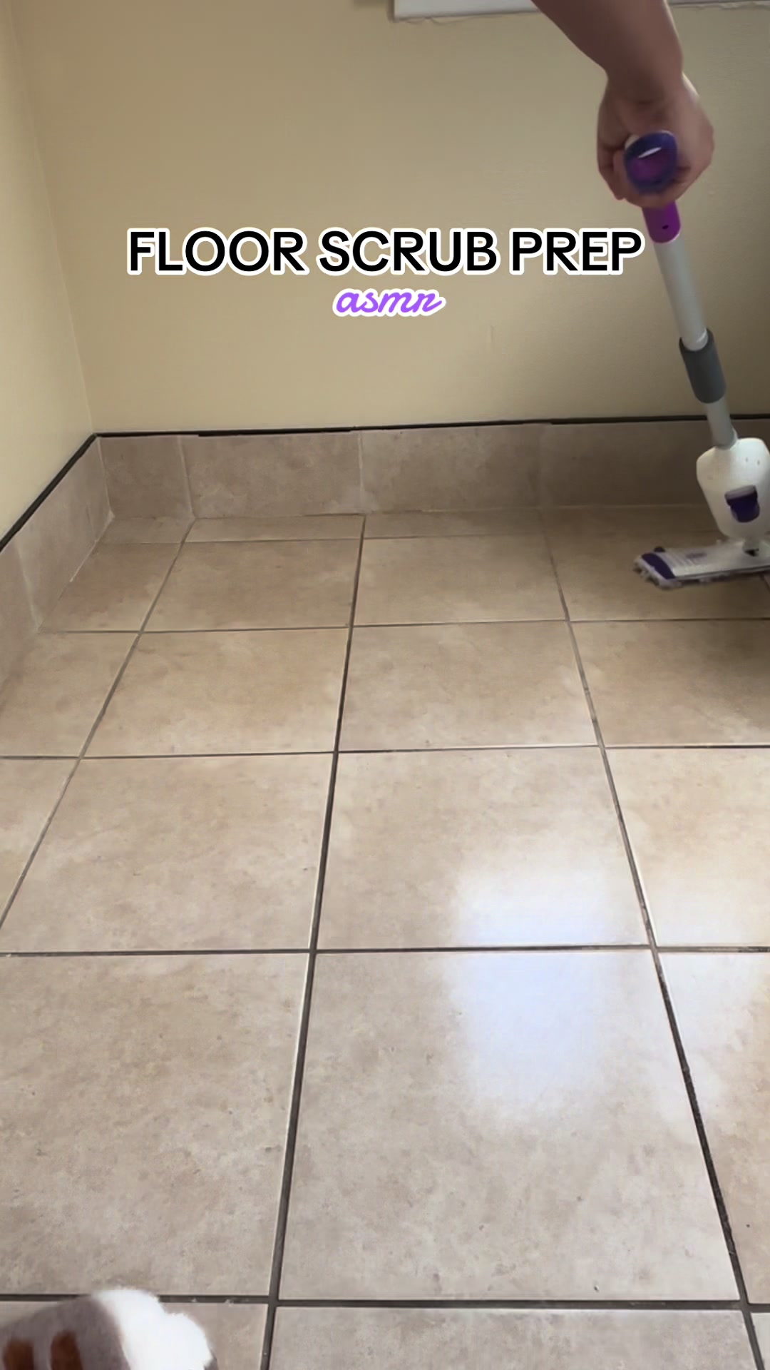 @SueCleansIt