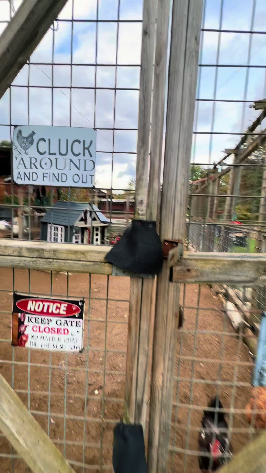 @Unshackled Hearts Ranch