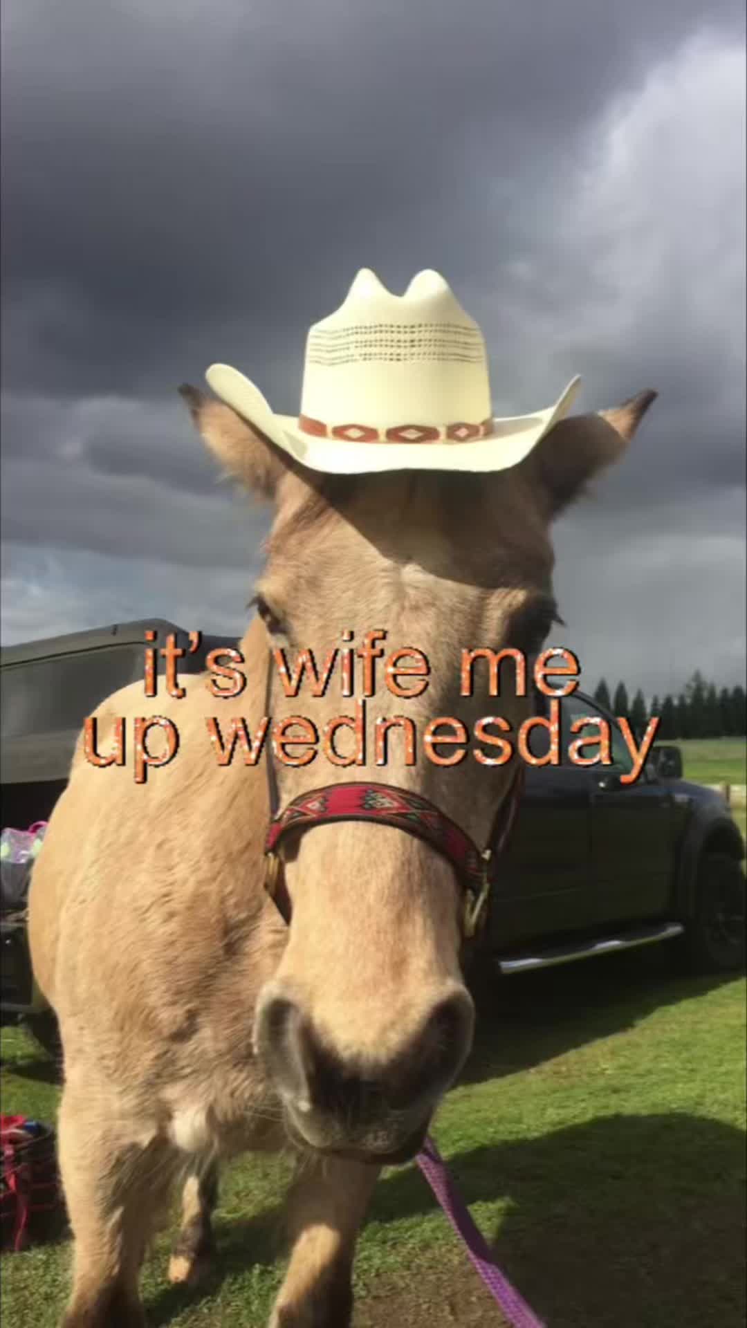 @howdylovecore