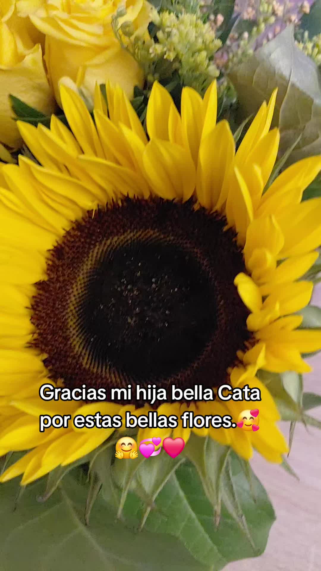@cubanita79 ๐จ๐บ๐ฉ๐ช๐จ๐บ
