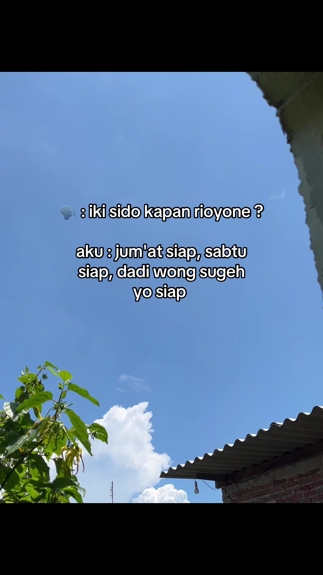 @๐๐๐๐ ๐๐๐๐๐๐ ๏ฃฟ