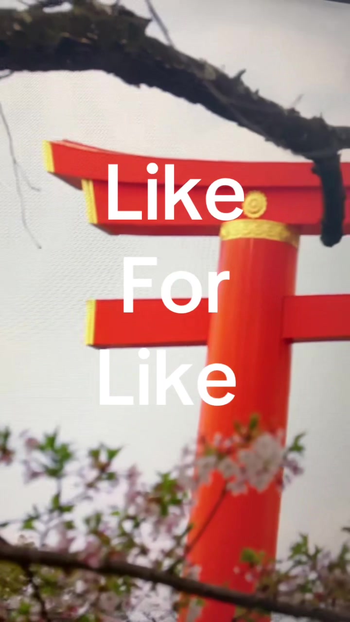 @F4F