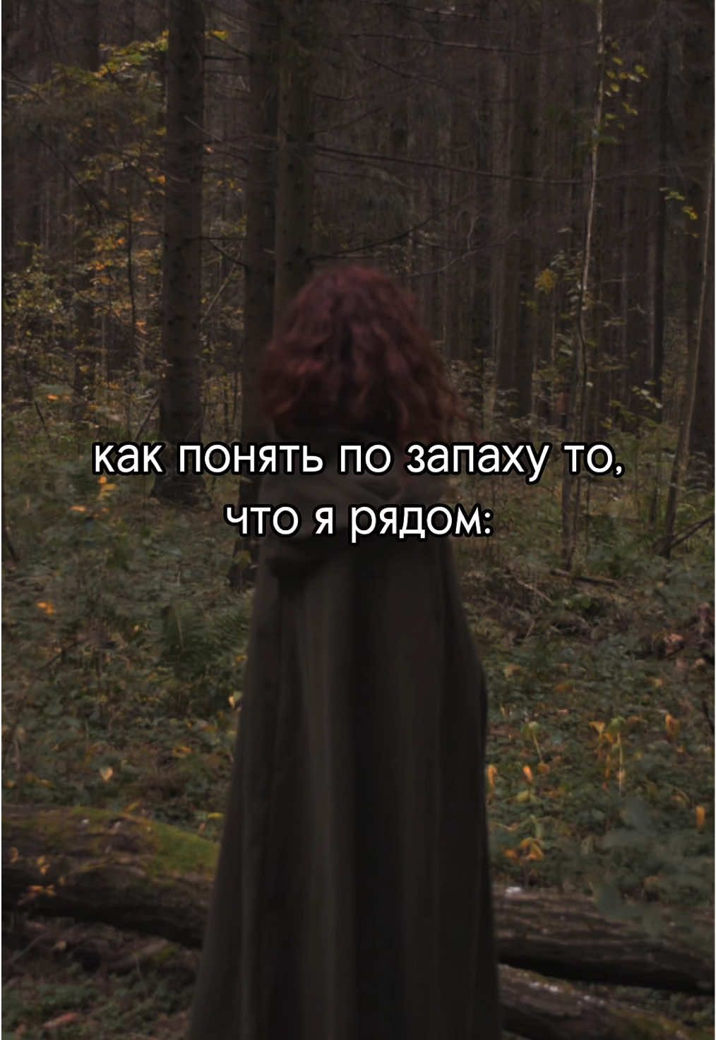 @niflheim
