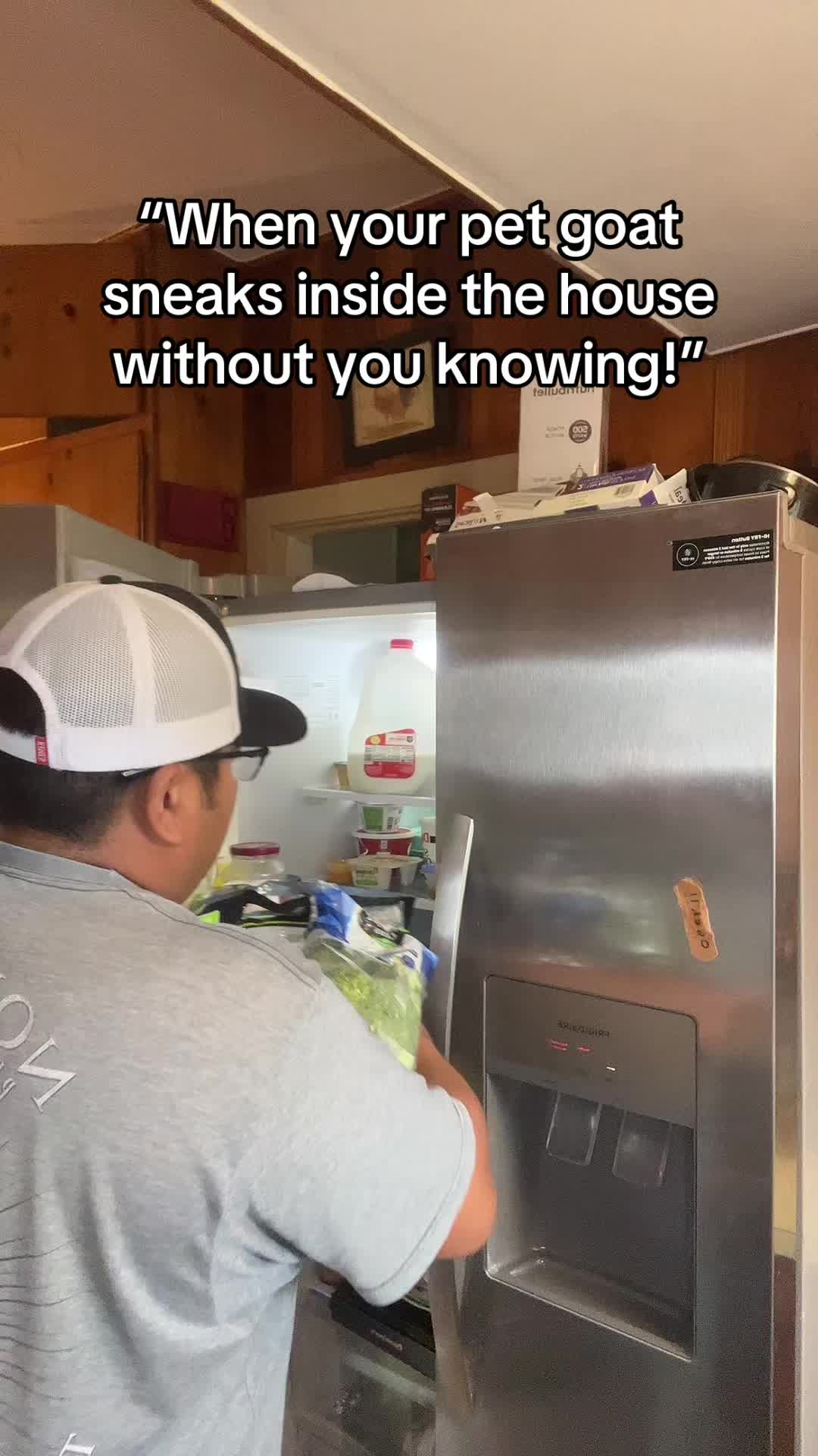 @dizguy