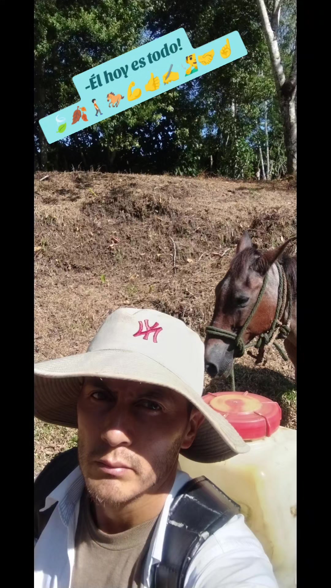 @PONYROJAS