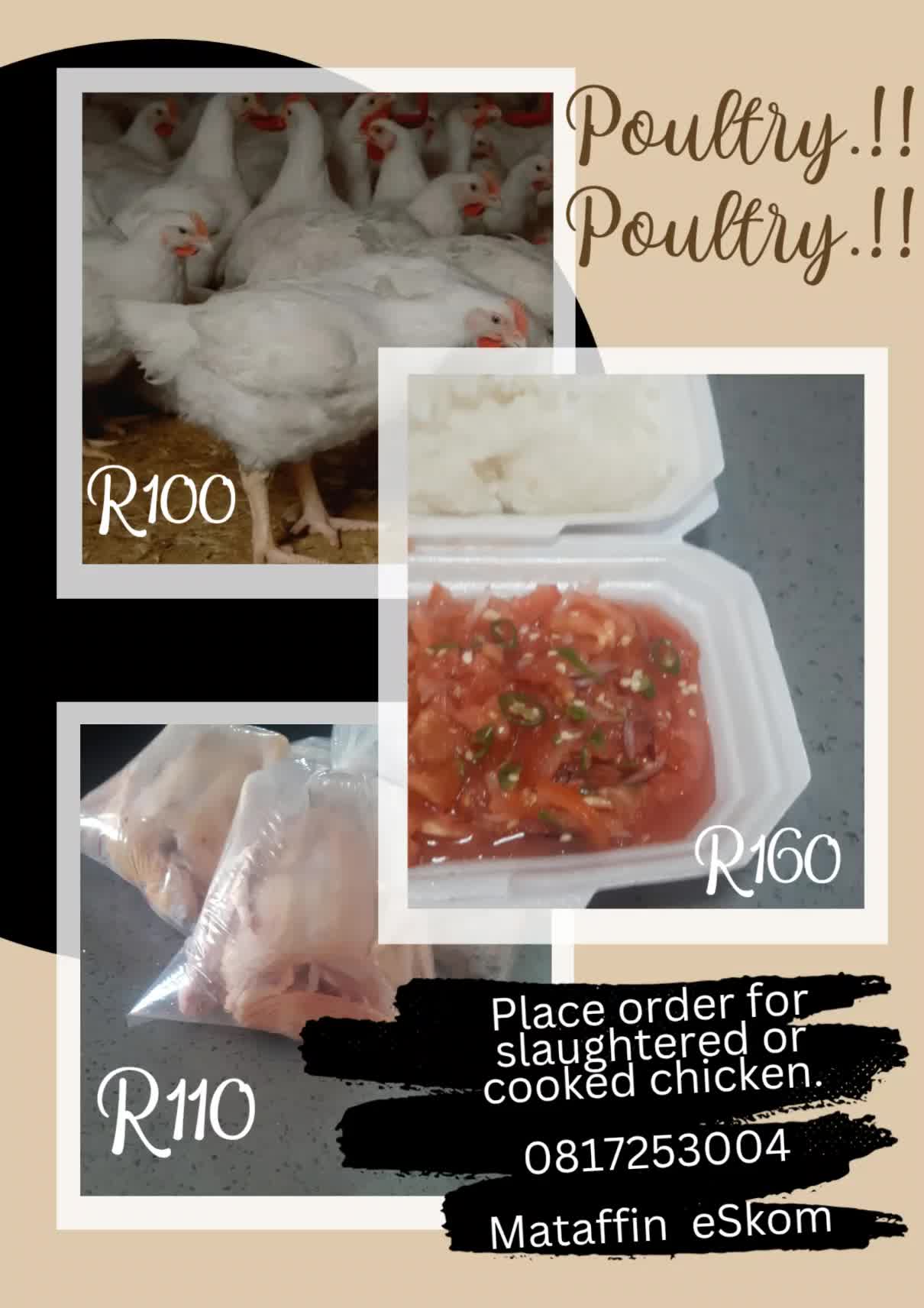 @terresa.wami.357