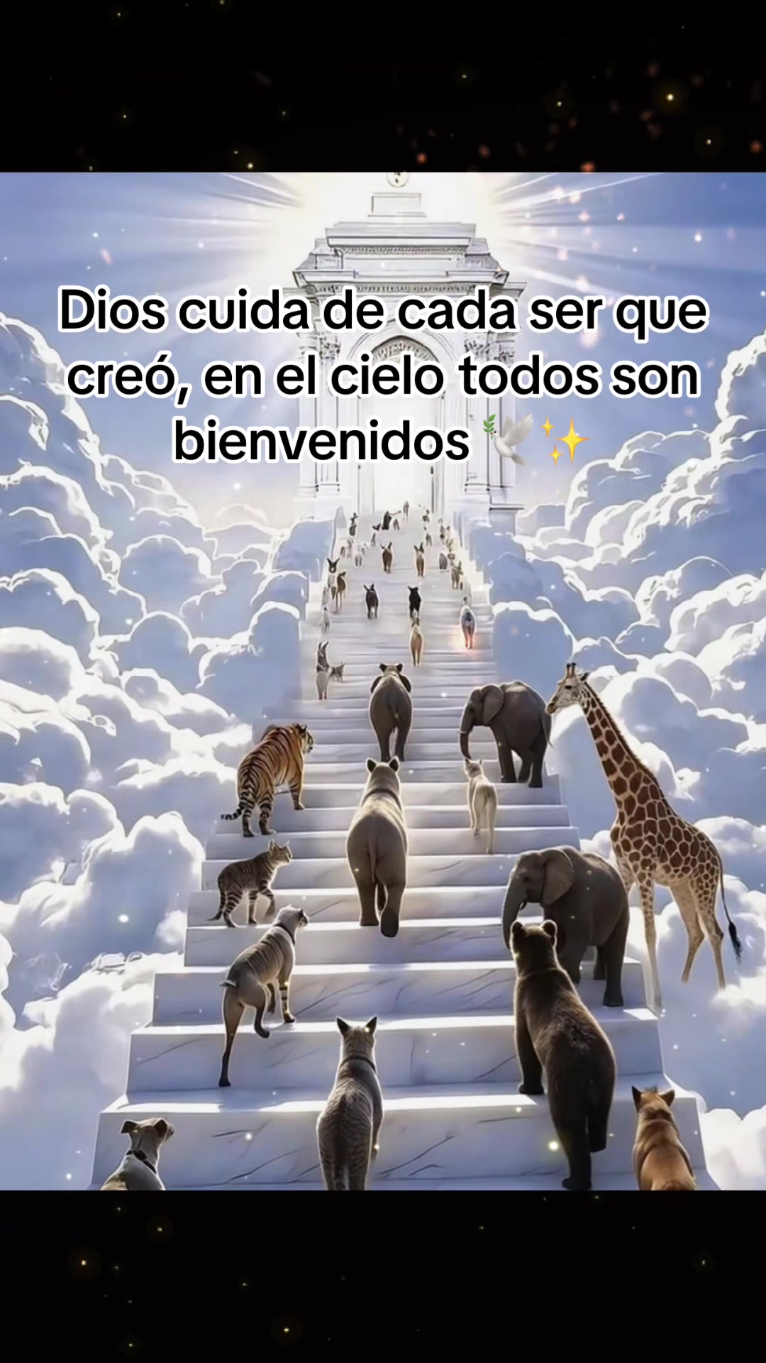 @Valeria