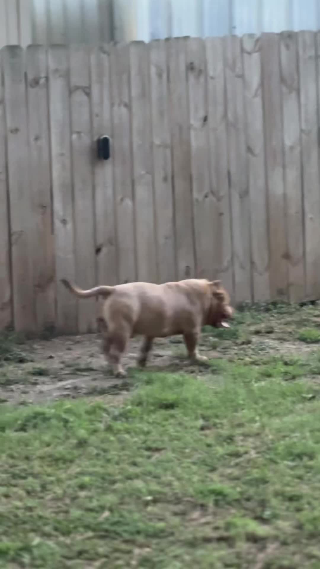 @Carters BullyHub