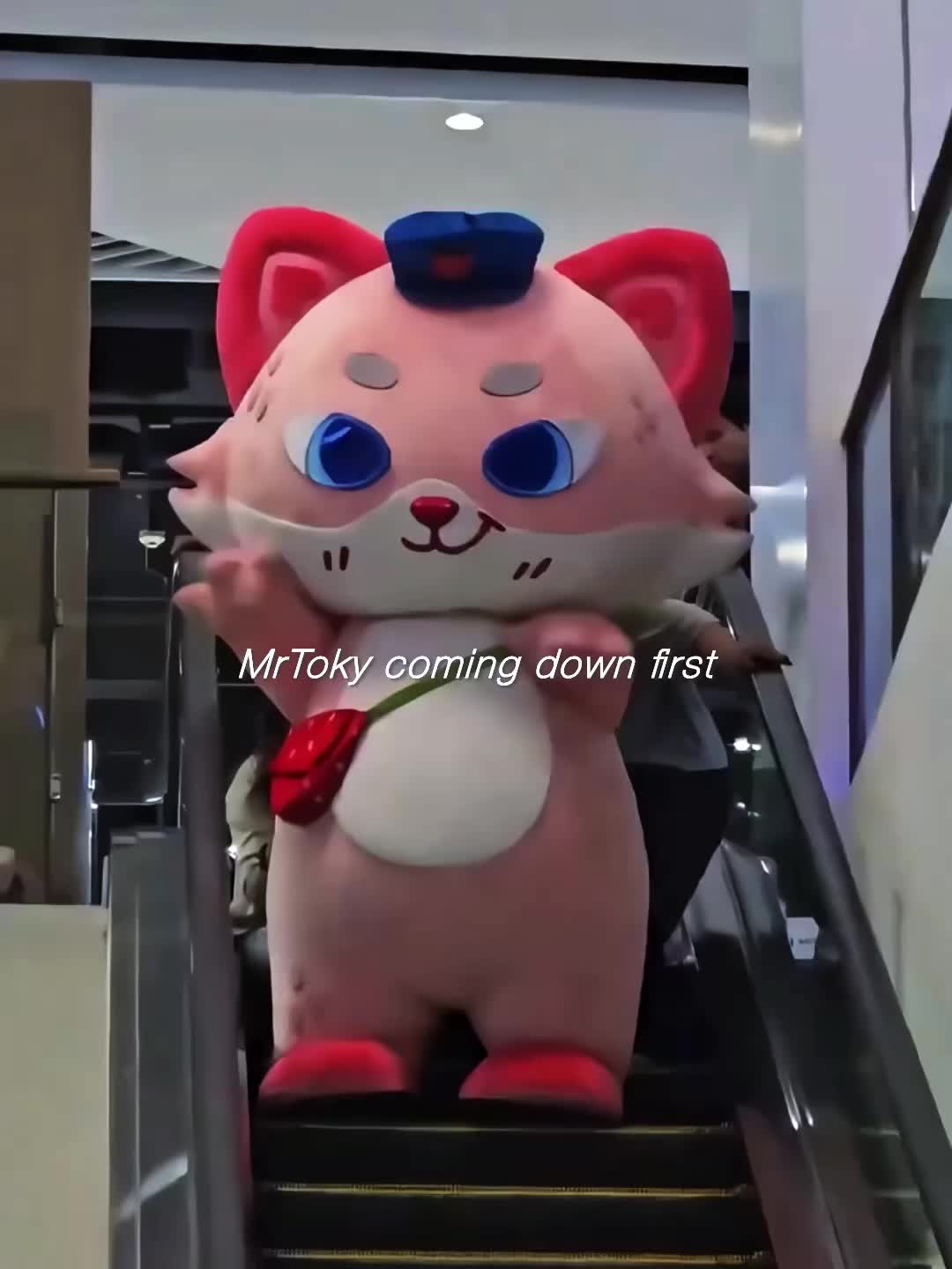 @⋆˙Amy