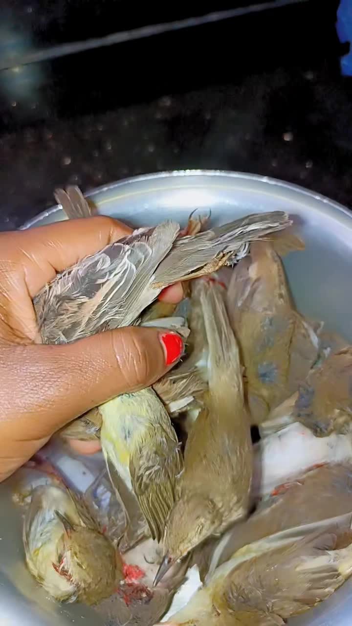 @kamamagladyssidi
