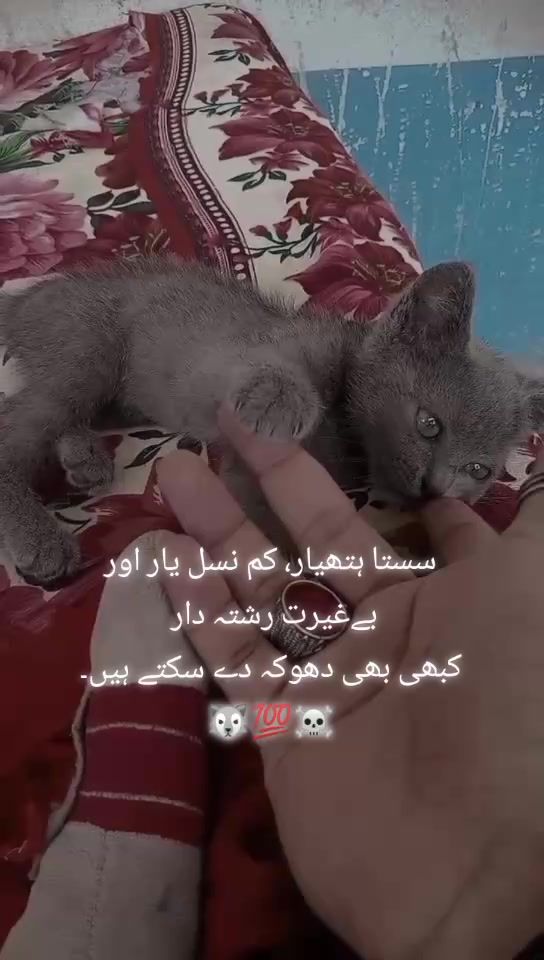 @🧸MICHAEL☠️
