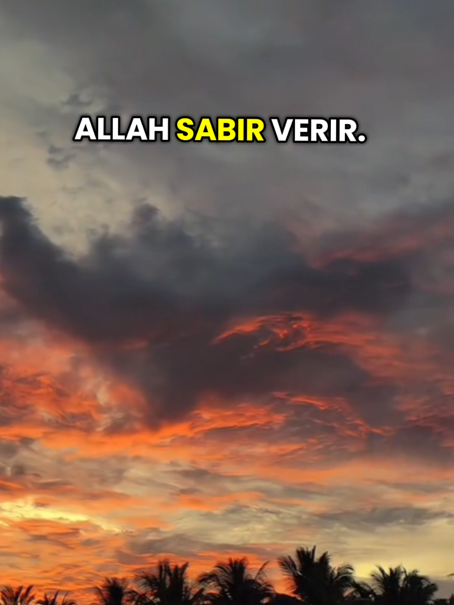 @👑MEHMET_EMİN👑