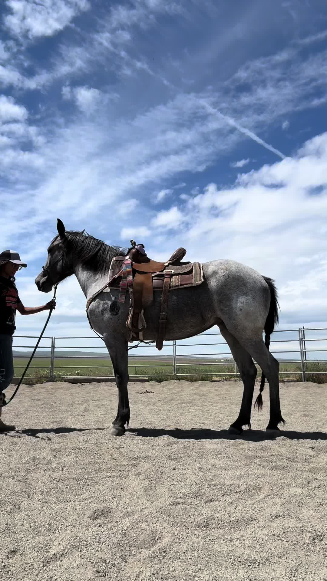 @Cowgirl Tuff Colt Training ❤️