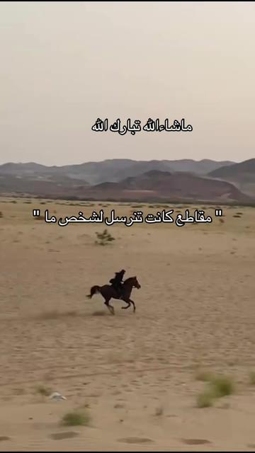 @Toly 🐎.