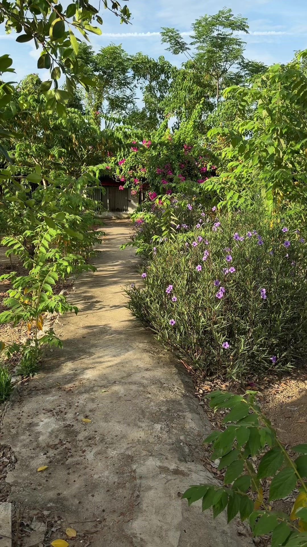 @Quốc kh&aacute;nh