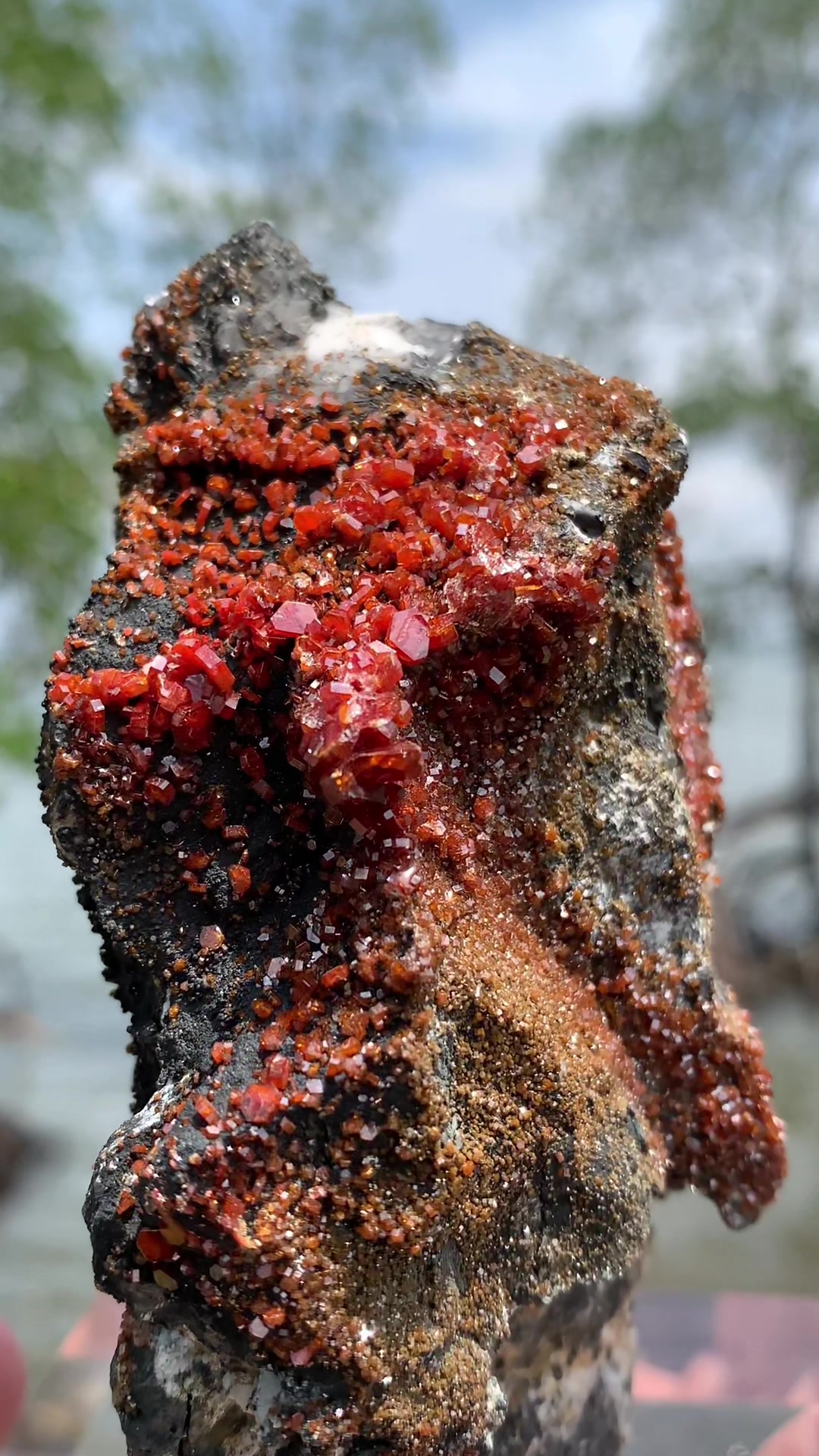 @Pocket of Crystals
