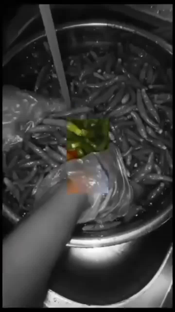 @๐๐คเผบโฉ๊ชσ๐ฝ๊ช แฅซแญก ๐ญ๐๐๊ชโฉเผป๐ค๐๏ธ