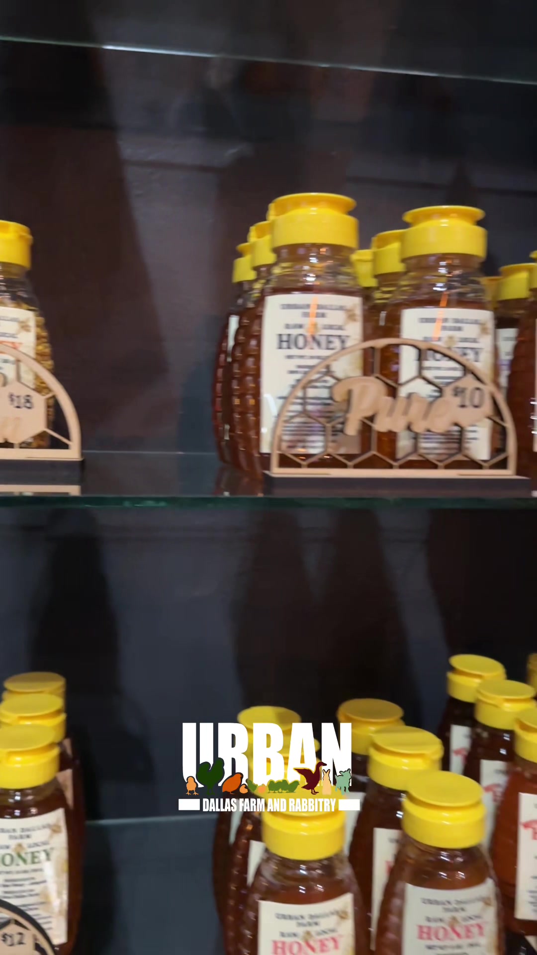 @Urban Dallas Farm