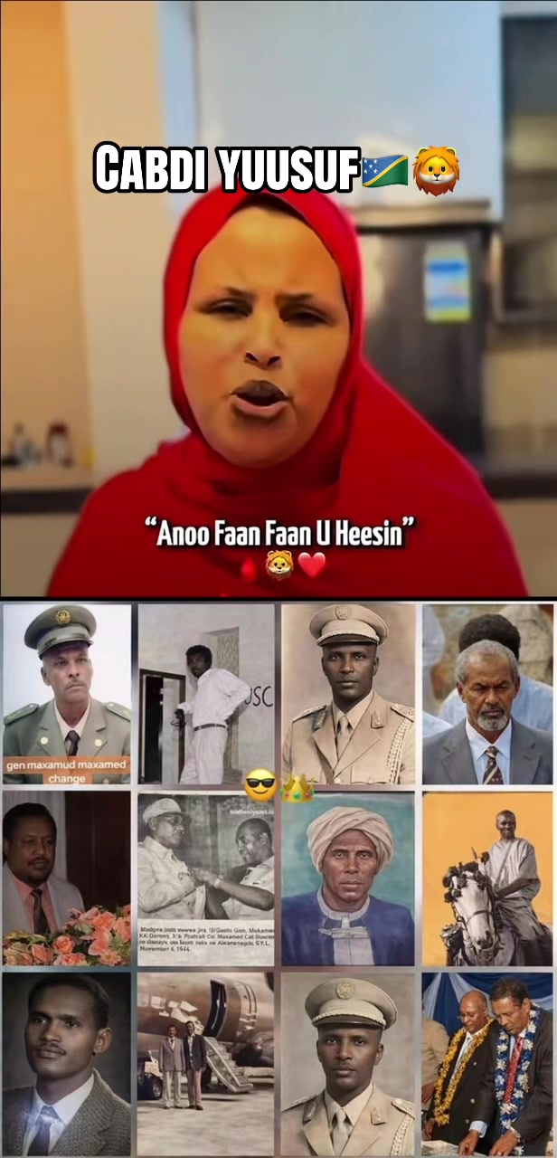 @Shaffi Abdi
