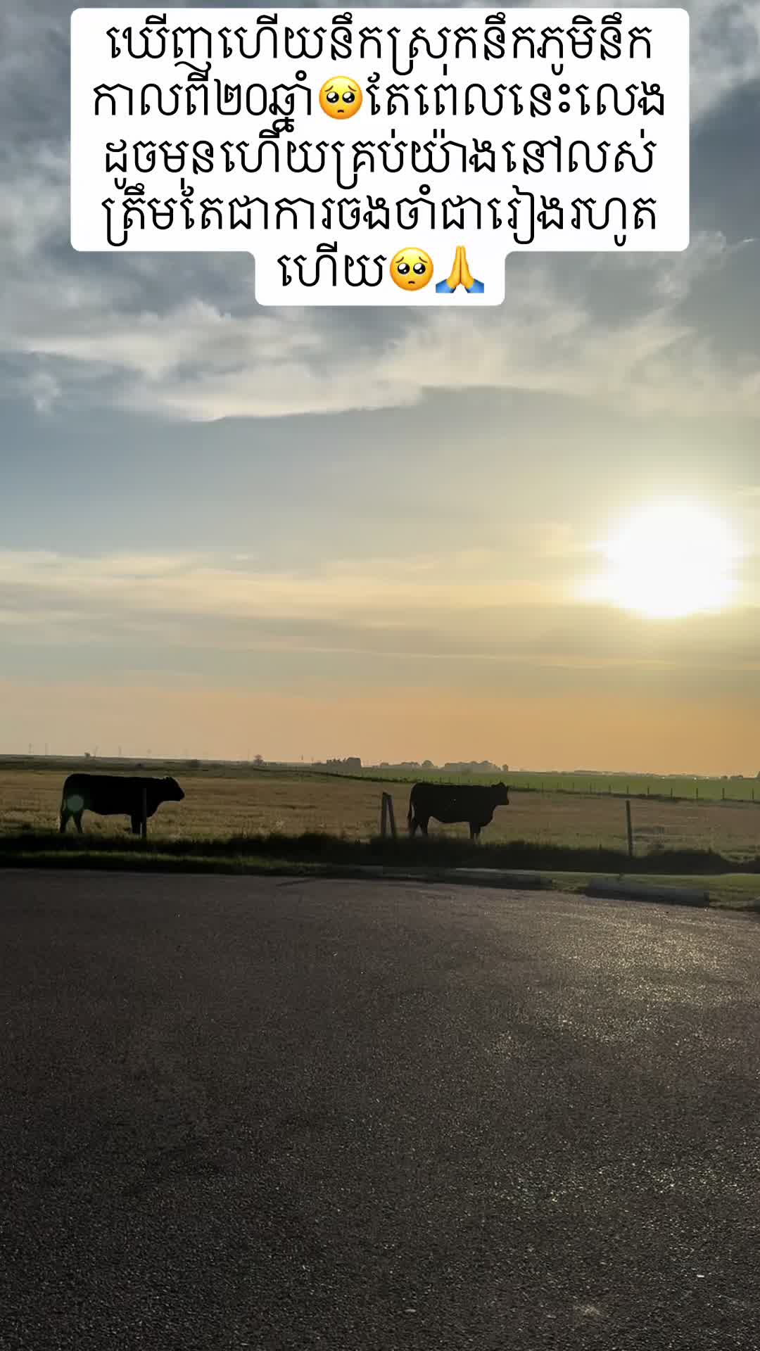 @meyneangsyna8🇰🇭❤️🇨🇦