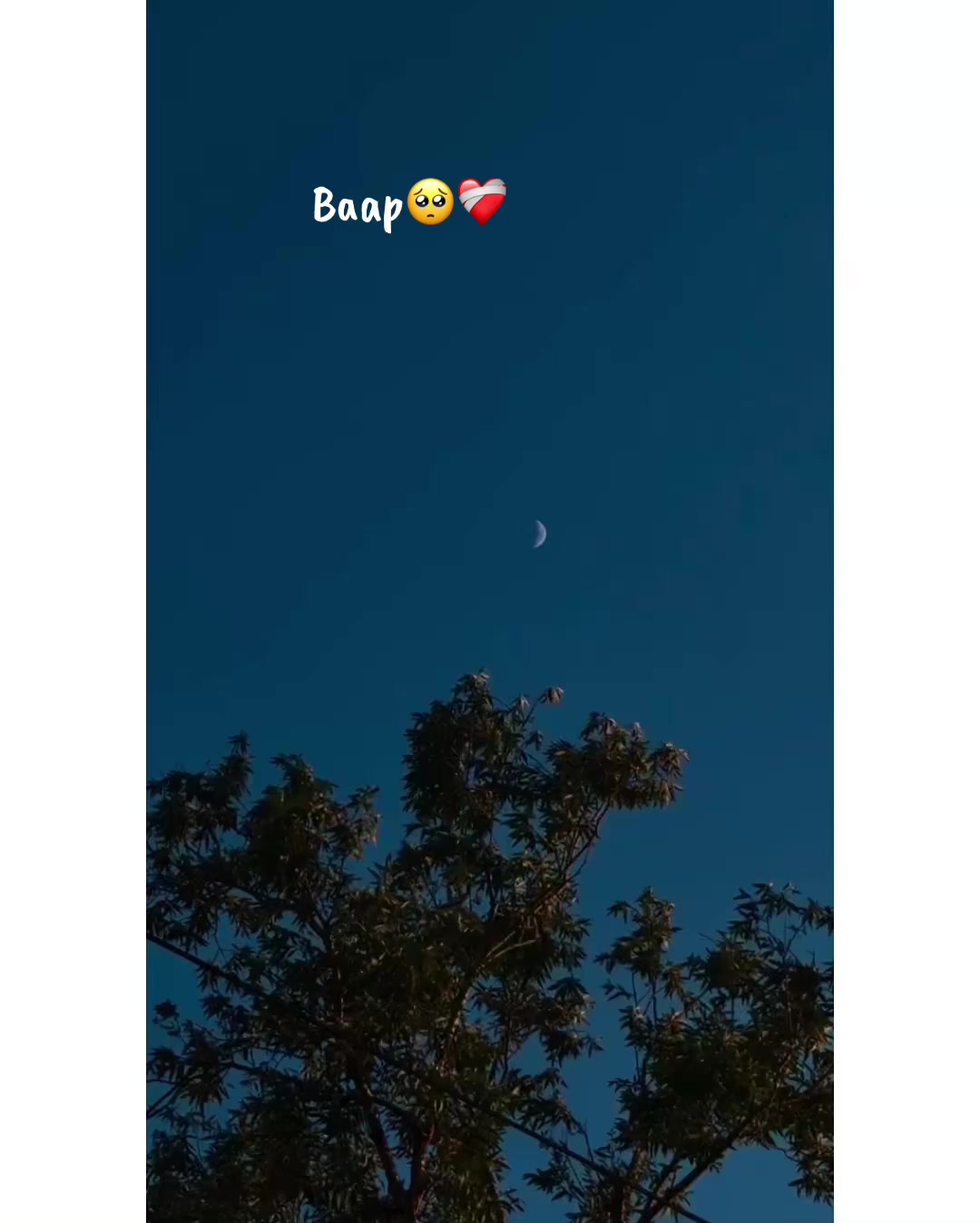 @⚜️𝐊𝐇𝐎𝐊𝐇𝐀𝐑❤️🩹
