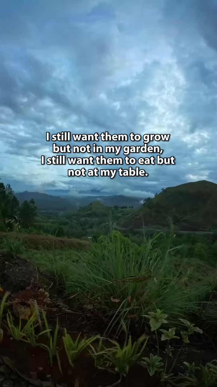 @๐ฅ