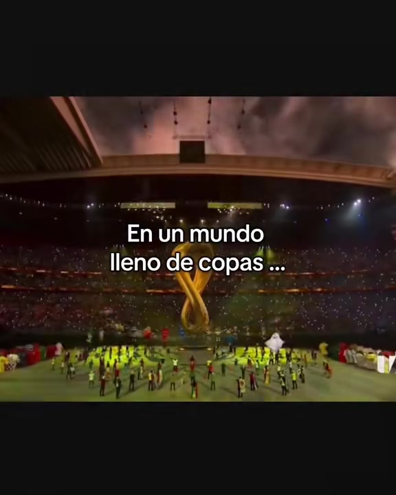 @Fan del universo