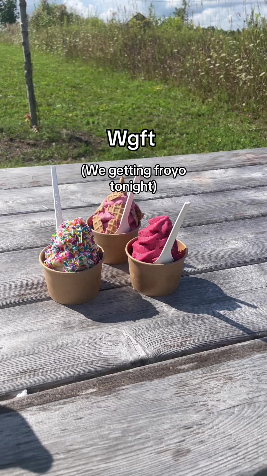 @TheLittleFrozenYogurtCompany