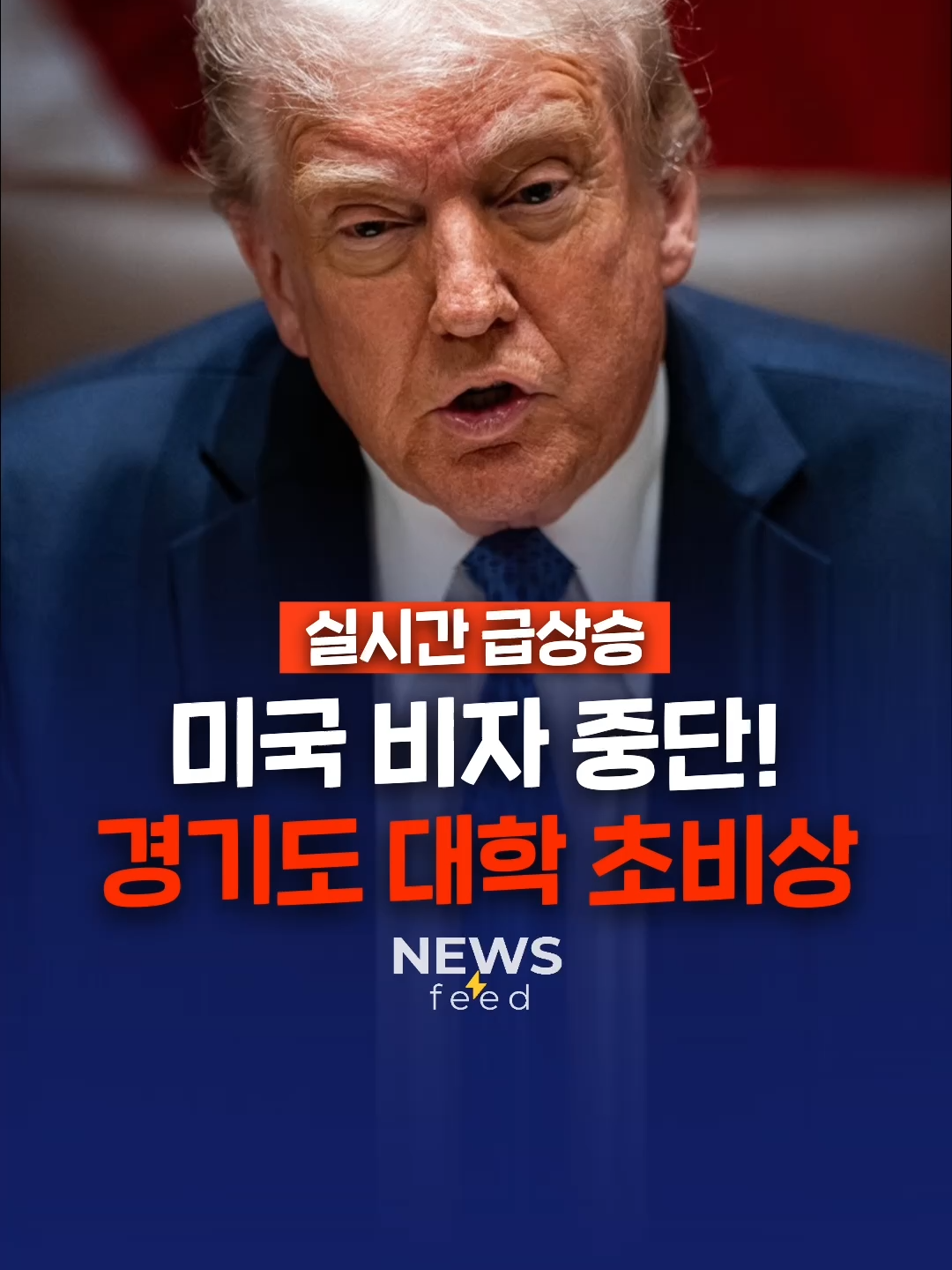@뉴스피드