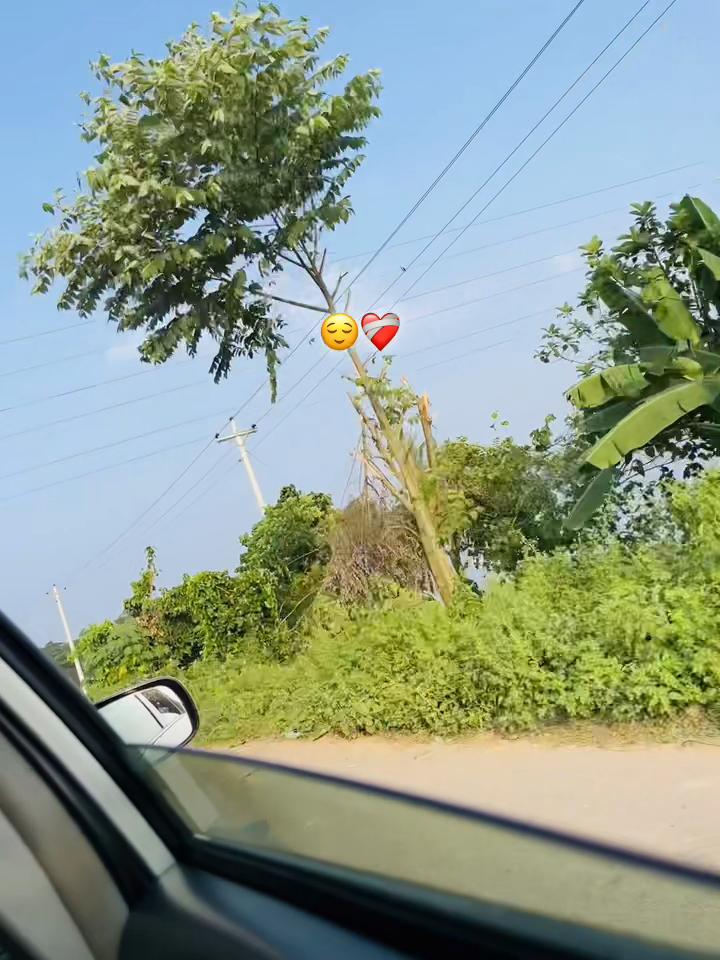 @ফু'ল🌷