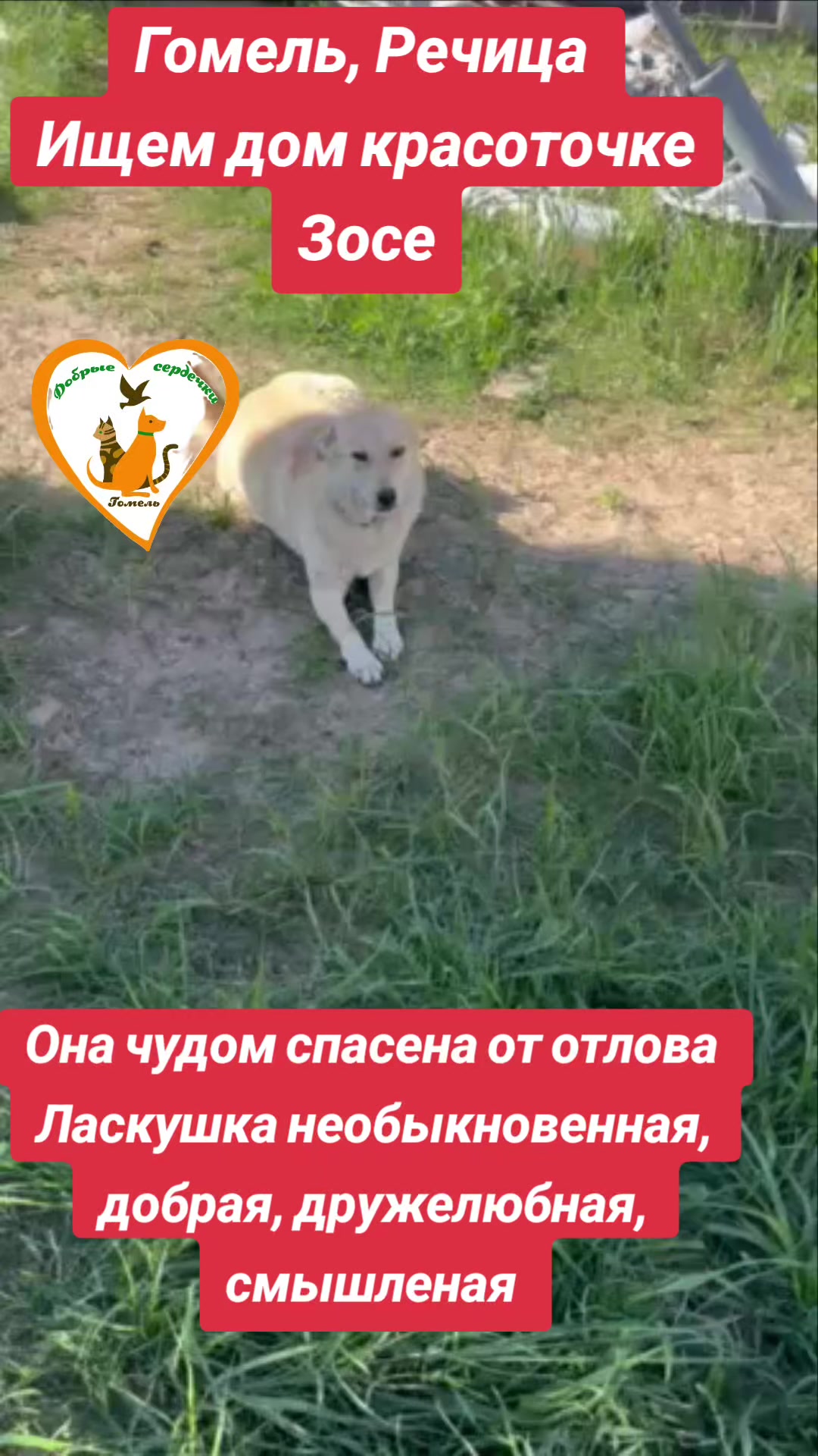 @Марина