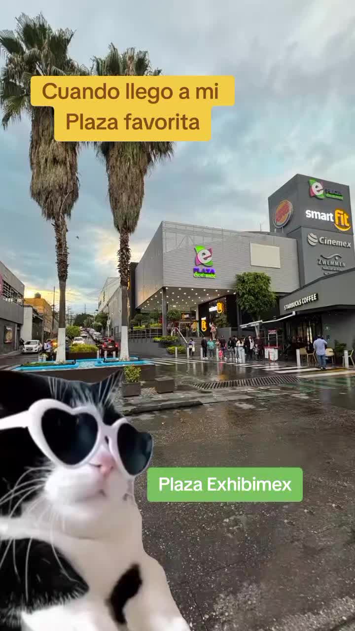 @Plaza_Exhibimex